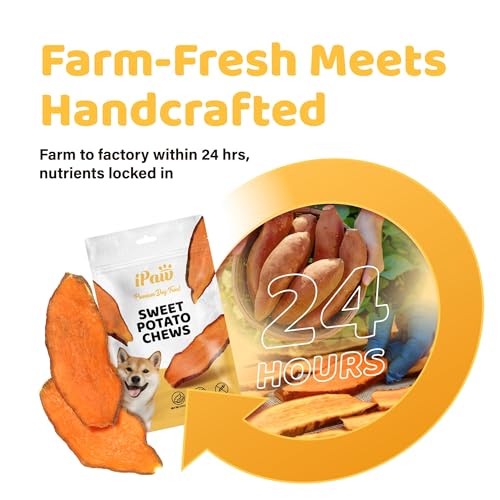 iPaw Sweet Potato Dog Treats