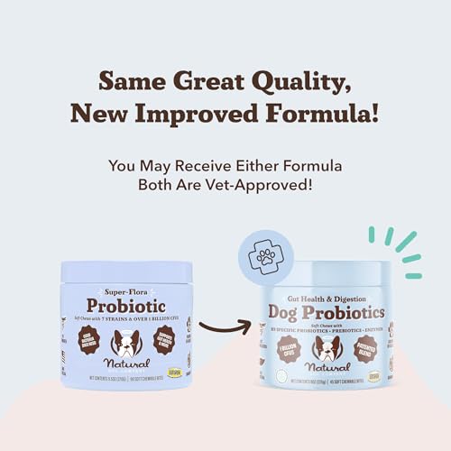 Natural Dog Company Probiotics for Dogs – Dog Probiotic Chews with 1B CFUs, Canine-Specific Microencapsulated Strains, Prebiotics & Enzymes for Digestive Health, Stool & Immune Support, 45 Ct