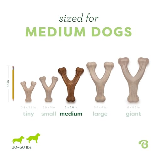 Benebone Wishbone Durable Dog Chew Toy for Aggressive Chewers, Real Bacon, Made in USA, Medium