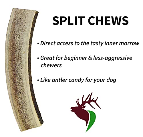 Elkhorn Premium Chews – Elk Antlers for Dogs, X Large (6-10") Split, 1 Pack, All Natural Dog Chew for X Large Dogs, Premium Naturally Shed Antler Bone for Aggressive Chewers, Sourced in the USA