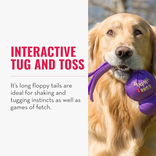 KONG Wubba - Dog Toy for Tug of War & Fetch - Dog Supplies for Puppy & Dog Playtime - Outdoor & Indoor Dog Toy - for XL Dogs - Randomly Provided Color