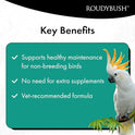 RoudyBush Daily Maintenance Food for Birds - Scientifically Formulated Bird Feed - Bird Food Pellets w/Corn, Wheat, Soy & More - Nutritious & Healthy Feed for Birds (Mini, 44oz)