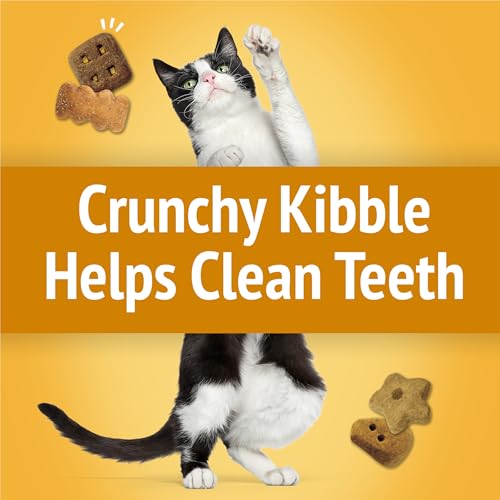 Purina Friskies Cat Treats, Party Mix Cheezy Craze Crunch - 20 oz. Pouch