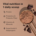 BODi Shakeology Whey Protein Powder Blend - Gluten Free, Superfood Protein Shake with Vitamins and Minerals - Helps Support Healthy Weight Loss, Lean Muscle Support, Gut Health - Vanilla, 30 Servings