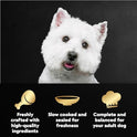 Cesar Filets in Gravy Wet Dog Food Rotisserie Chicken Flavor, Filet Mignon Flavor, and Wood-Grilled Chicken Variety Pack, Wet Food for Dogs, 1.76 oz. Mini-Pouches, 40 Count