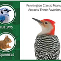 Pennington Classic Shelled Peanuts 5 pounds