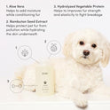 OUAI Fur Bébé Pet Shampoo - Cat & Dog Shampoo for Gentle Cleansing, Hydration & Shine - Vegan & Cruelty-Free Pet Supplies with Aloe Vera & Panthenol - Mercer Street Scent (16 Fl oz)