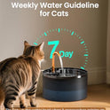 Cat Water Fountain, 71oz/2.1L Cat Fountain for Drinking with Copper Faucet, MISFANS-Designed Pump & Filter, Plastic Automatic Pet Water Fountain Bowl & Dispenser with 3-Pack Replaceable Filters