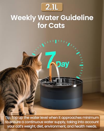 Cat Water Fountain, 71oz, 3-Pack