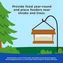 Kaytee Shelled Peanuts for Cardinals, Blue Jays, Woodpeckers and Other Outside Wild Birds, 11 Pounds