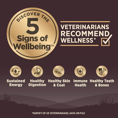Wellness CORE Adult Dry Dog Food, Grain Free Kibble, Natural, High Protein, Turkey and Chicken Recipe, 4 lb Bag