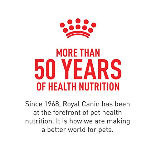 Royal Canin Breed Health Nutrition Labrador Retriever 5+ Mature Dry Dog Food, 28 lb Bag