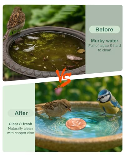 Bird Bath Purification Disk Pure Copper Outside Winter Solar Power Birdbath Heater Deicer Cage Hanging Bowl Metal Warmer Deck Railing Glass Concrete Ceramic Stone Stand Outdoor Fountain Station