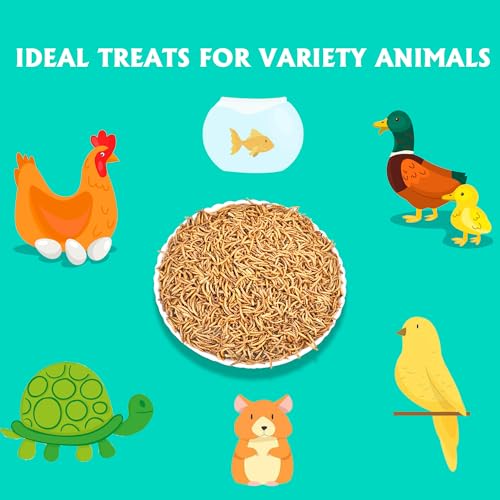 Dried Mealworms 10LB Pure Natural Non-GMO Mealworms for Chicken Ducks and Wild Birds High Protein Chicken Feed and Bird Food
