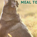 Nutri Bites Freeze Dried Beef Liver Dog & Cat Treats | Healthy Pet Training Treats or Food Topper | All Natural, Single Ingredient, High Protein | Premium Bulk Large Size Pack (27 OZ)