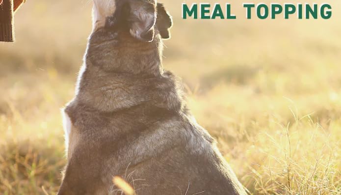 Nutri Bites Freeze Dried Beef Liver Dog & Cat Treats | Healthy Pet Training Treats or Food Topper | All Natural, Single Ingredient, High Protein | Premium Bulk Large Size Pack (27 OZ)