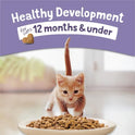 Purina Kitten Chow 14lb