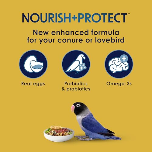 Kaytee Forti-Diet Pro Health Egg-Cite Pet Conure & Lovebird Food, 3 Pound