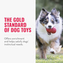 KONG Classic Stuffable Dog Toy - Fetch & Chew Toy for Dogs - Treat-Filling Capabilities & Erratic Bounce for Extended Play Time - Durable Natural Rubber Material - for Large Dogs