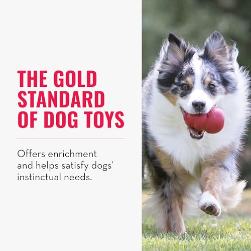 KONG Classic Stuffable Dog Toy - Fetch & Chew Toy for Dogs - Treat-Filling Capabilities & Erratic Bounce for Extended Play Time - Durable Natural Rubber Material - for Large Dogs