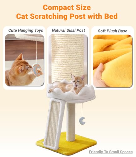 Happi N Pets Cat Tree, Cloud Cat Tower with Soft Bed, Cat Scratching Post & Pad with Larger Perch for Window Viewing, Small Cat Tree with Cute Toys, Bonus Catnip