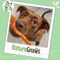 Nature Gnaws USA Turkey Tendons for Dogs (4oz) - Delicious Grain Free Reward Snack for Small, Medium & Large Breeds - Premium Natural Dog Chew Treats