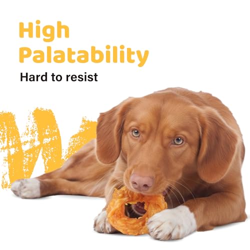 iPaw 10 Pcs Value Pack Turkey Tendons for Dogs, Single Protein, Hypoallergenic, All Natural Human Grade Puppy Chew, Rawhide Alternative Dog Treats, Ring (Small)