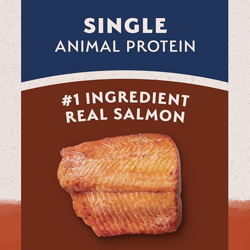 Natural Balance Limited Ingredient Adult Dry Dog Food - Balanced Nutrition for Adult Dogs - Grain-Free, Soy-Free Recipe - Limited Ingredient Formula - 24 lb - Salmon & Sweet Potato Recipe
