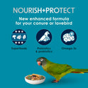 Kaytee Forti-Diet Pro Health Nourish+Protect Conure & Lovebird Food, Comprehensive Nutrition Backed by Science, Digestive Health, Immune Support, 4 pounds