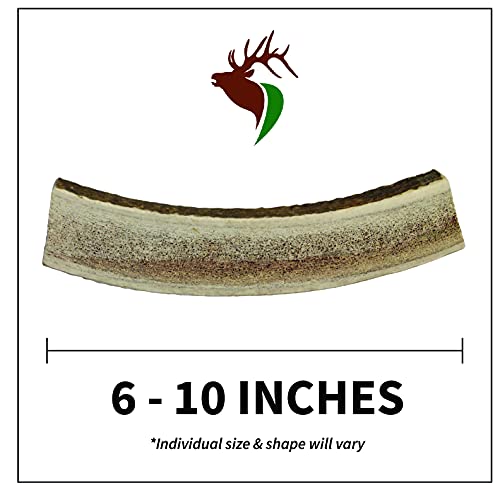 Elkhorn Premium Chews – Elk Antlers for Dogs, X Large (6-10") Split, 1 Pack, All Natural Dog Chew for X Large Dogs, Premium Naturally Shed Antler Bone for Aggressive Chewers, Sourced in the USA