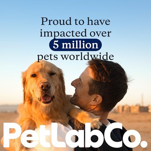 PetLab Co. Allergy & Immune Probiotic Chews, 30 Soft Chews, Pork | Omega-3s, colostrum and prebiotics to support yeast balance, skin health and immune function