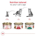 Royal Canin Feline Health Nutrition Adult Instinctive Adult Thin Slices in Gravy Cat Food, 3 oz (Pack of 24)