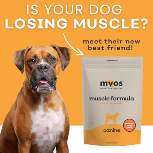All-Natural Muscle Building Supplement - Helps Reduce Muscle Loss in Aging Dogs and Improve Recovery from Injury or Surgery