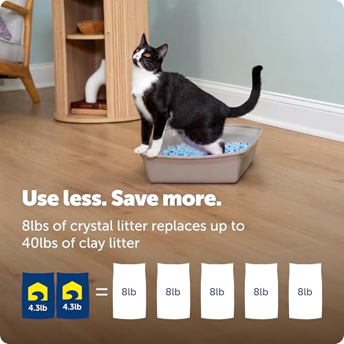 PetSafe ScoopFree Premium Crystal Litter, Fresh Scent, 4.3 Lb Bag, 2 Pack | Ultra-Absorbent Crystal Cat Litter, 5x Faster Odor Control, 99% Dust-Free, Low Tracking, Refills Any Cat Box or Tray
