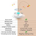 Oxawo Interactive Cat Toys Cat Exercise Tumbler, Rechargeable Cat Toys for Indoor Cats Spin Butterfly Game Teasing Kitty, Extra Long Feather Wand (P33 cat Toys)