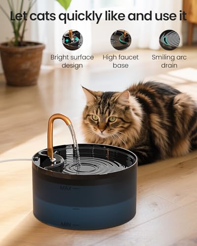 Cat Water Fountain, 71oz, 3-Pack