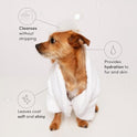 OUAI Fur Bébé Pet Shampoo - Cat & Dog Shampoo for Gentle Cleansing, Hydration & Shine - Vegan & Cruelty-Free Pet Supplies with Aloe Vera & Panthenol - Mercer Street Scent (16 Fl oz)