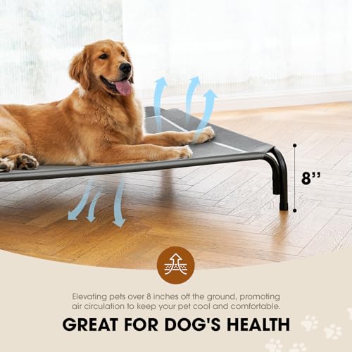 Czpalo Elevated Dog Bed