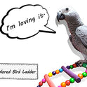 DS. DISTINCTIVE STYLE Bird Ladder Toys Coloured Flexible Parrot Swing Bridge Wooden Cockatiel Cage Hanging Climbing Ladder (39 in (16 Steps))