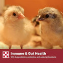 Purina Start & Grow | Nutritionally Complete Medicated Chick Feed Crumbles | 25 Pound (25 lb.) Bag