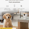 Furbo Mini Pet Camera [Subscription Required] Unlock Camera w/Paid Plan: Home Security with Dog & Cat Safety Alerts, 2-Way Audio, Mountable Smart Cam (Low Risk, 3mo Min. Cancel Anytime)
