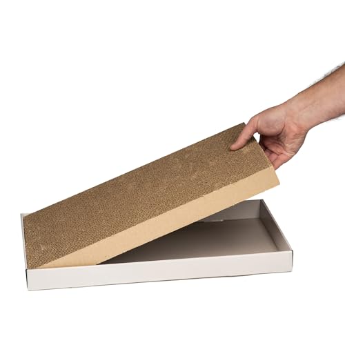 Basics Corrugated Cardboard Cat Scratcher, Scratching Board, Reversible, 17.4" x 10", White, 4-Pack