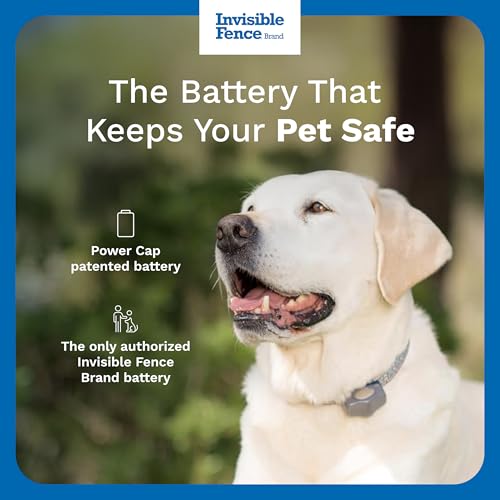 Invisible Fence Power Cap Battery, 2-Pack