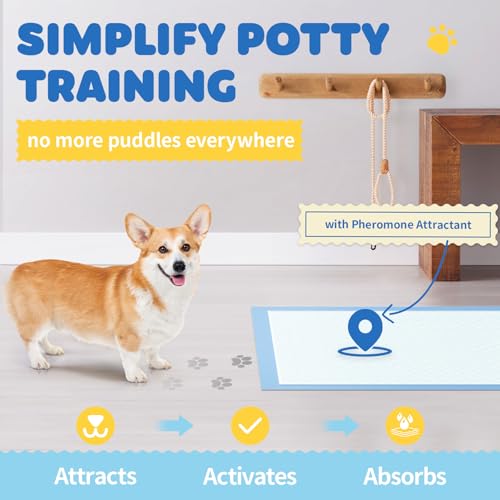 Powools Puppy Pads for Dogs, 34 x 28 in, 6-Layer, Leak-Proof, 100-Pack | X-Large Pee Pads for Dogs Potty Training, Quick-Dry Design, Wee Wee Pads for Dogs, Puppy Training Pads
