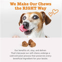 Zesty Paws Dog Multivitamin, Chewable Dog Vitamins and Supplements for Hip & Joints, Skin & Coat, Omega 3 Fish Oil for Dogs- Senior & Puppy Multivitamin- Chicken- 90ct