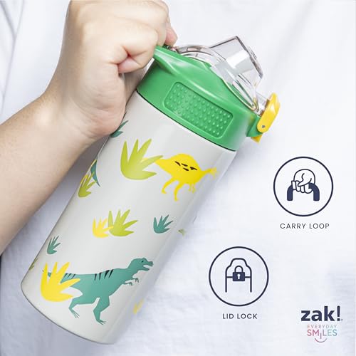 Zak Designs Marvel Spider-Man Sage Kids Water Bottle For School or Travel, 14oz Stainless Steel Water Bottle With Straw, Handle, and Leak-Proof, Pop-Up Spout Cover (Spidey and His Amazing Friends)