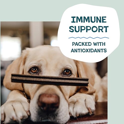 Shameless Pets Blueberry & Mint Dental Chews for Dogs, 8 Chews - Natural Dog Teeth Cleaning Treats with Fresh Breath Benefits | Grain-Free Dental Sticks for Small, Medium & Large Dogs