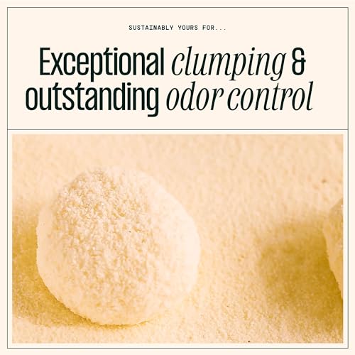 Sustainably Yours Natural Cat Litter, Mixed-Grain Formula, Exceptional Clumping & Odor Control, Virtually No Dust, Easy to Scoop, Corn & Cassava Plant-Based, Unscented, 10 lbs