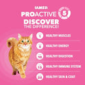 IAMS Proactive Health Sensitive Digestion & Skin Dry Cat Food, Adult Cat Food Dry Recipe with Real Turkey, 13 lb. Bag