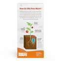 Back to the Roots Self-Watering Terracotta Olla Pot (Pack of 3), 700mL Provides 1 Week of Precision Watering